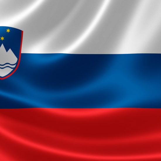 Slovénie Drapeau