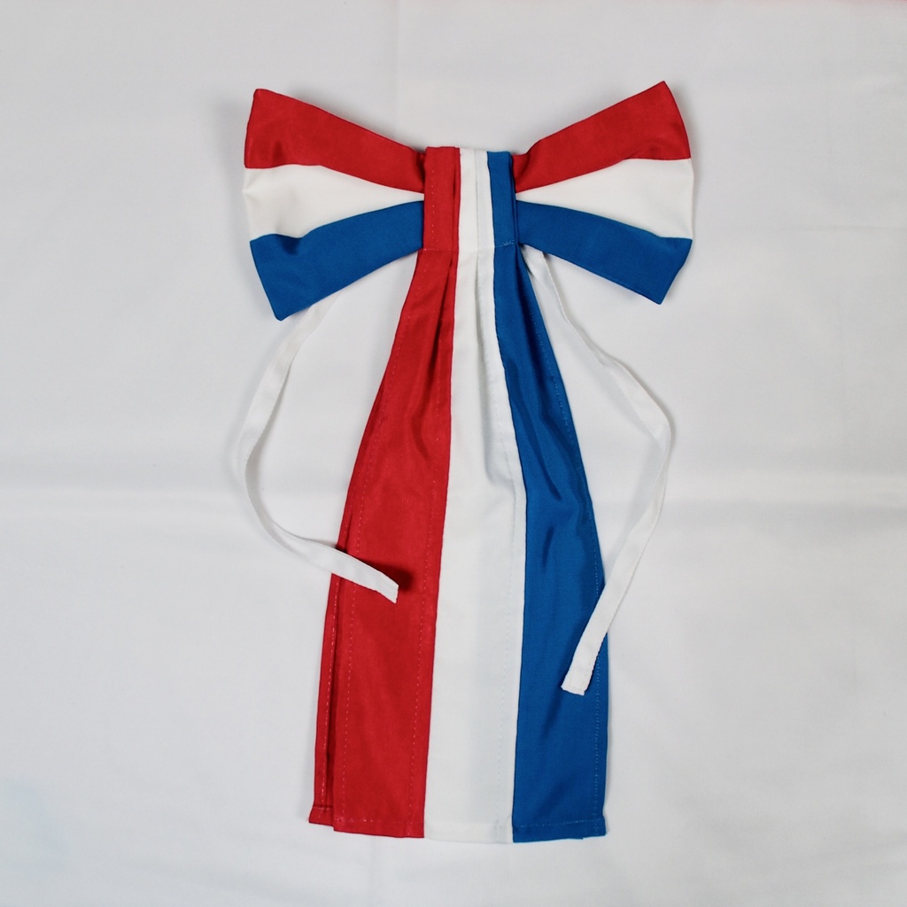 Echarpe tricolore en ruban moiré
