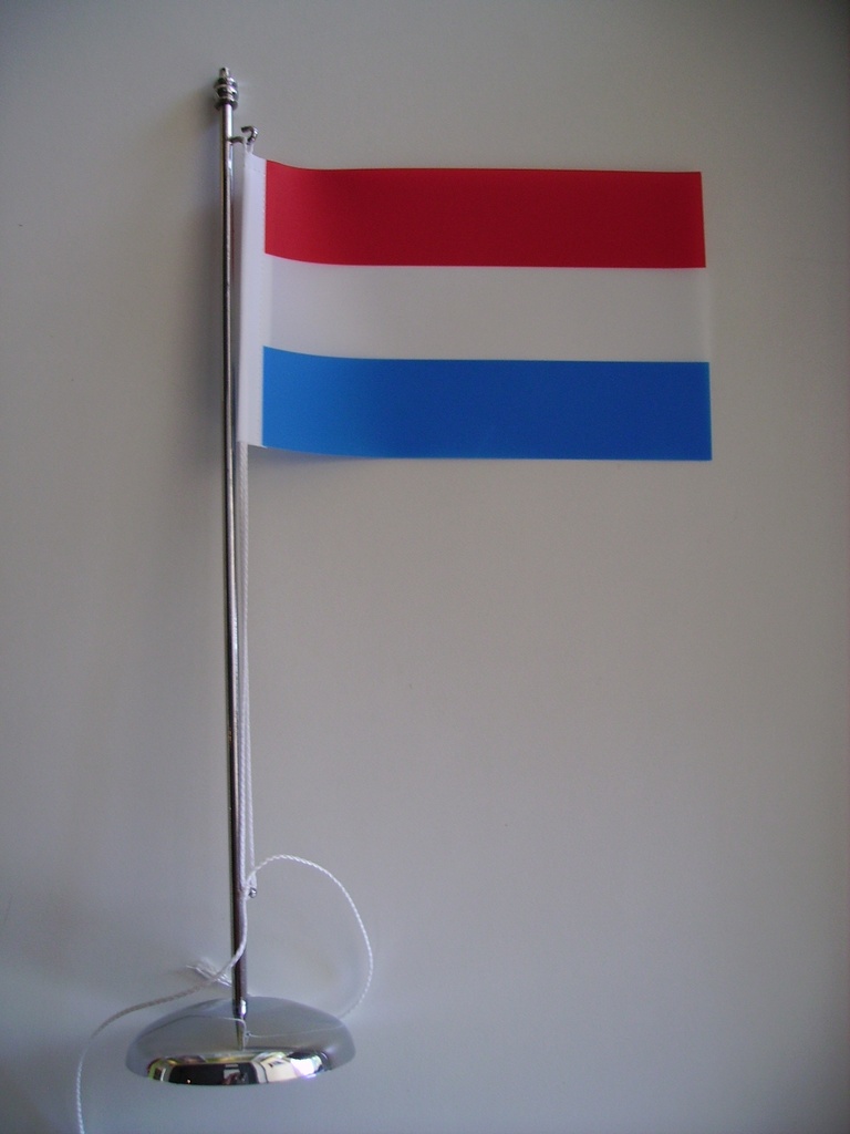 Socle et 1 hampe chromée de 30 cm 