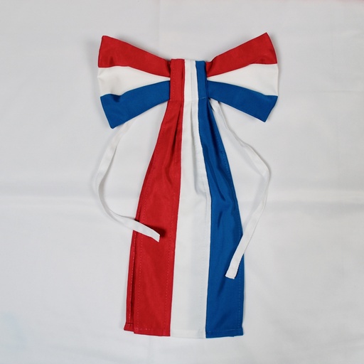 Echarpe tricolore en ruban moiré