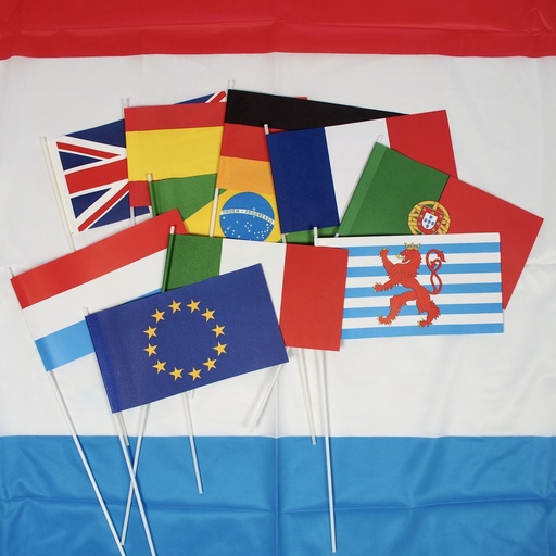 Fanions en papier 12 x 22 cm avec tige de 38 cm 