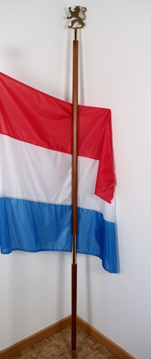 Hampe en bois de luxe divisible, diamètre 36 mm 