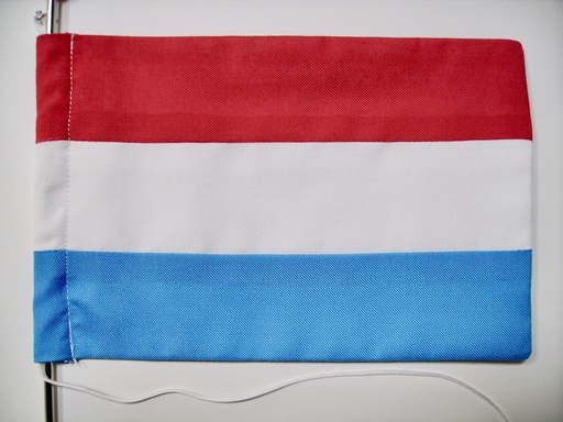 Drapeau tricolore pour voiture, 20x32cm en spun double