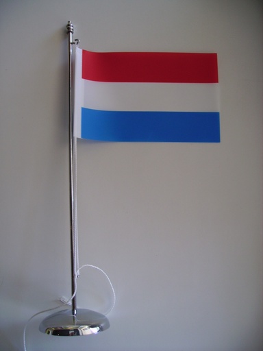 Socle et 1 hampe chromée de 30 cm 