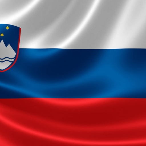 Slovénie Drapeau